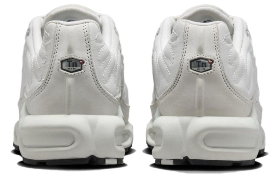 Nike Air Max Plus Платиновый оттенок Женские FZ4342-001