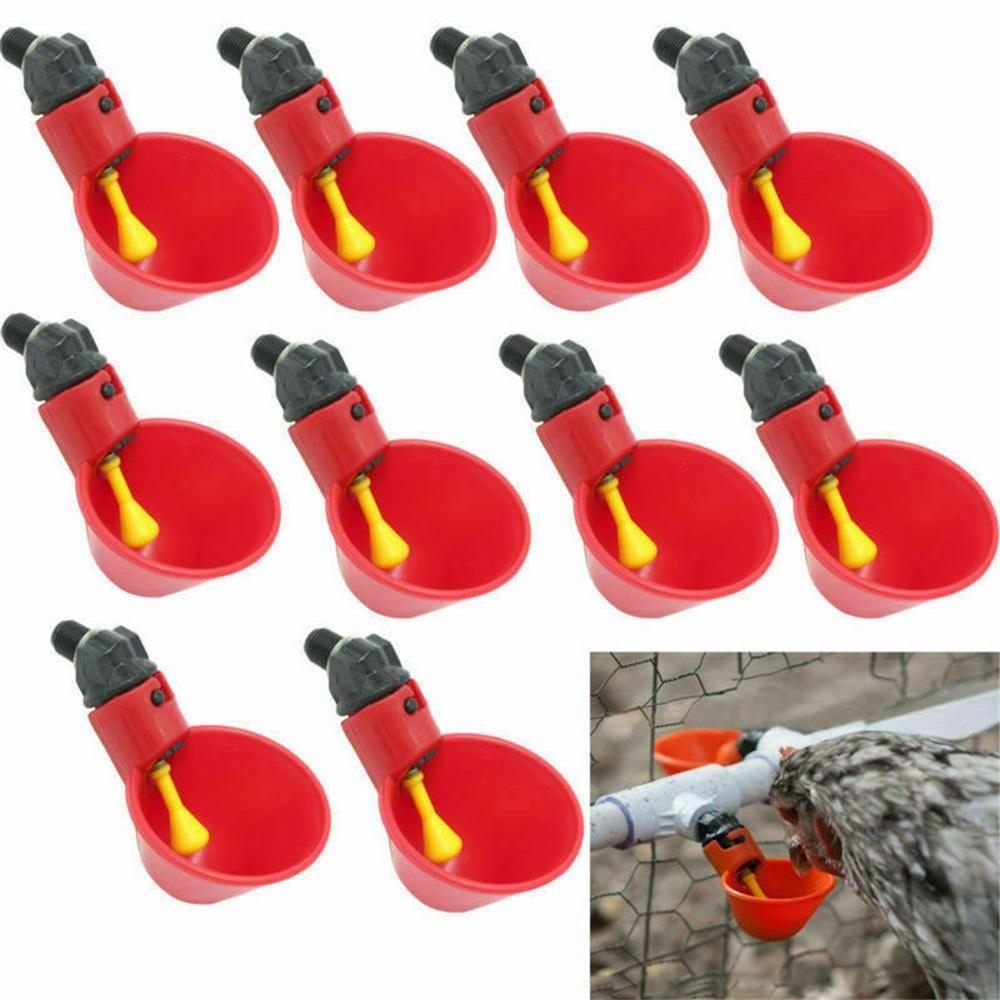 Chicken Coop Feed Quail Plastic Automatic Drinker Plastic Chicken Hen Poultry Water Drinking Cups