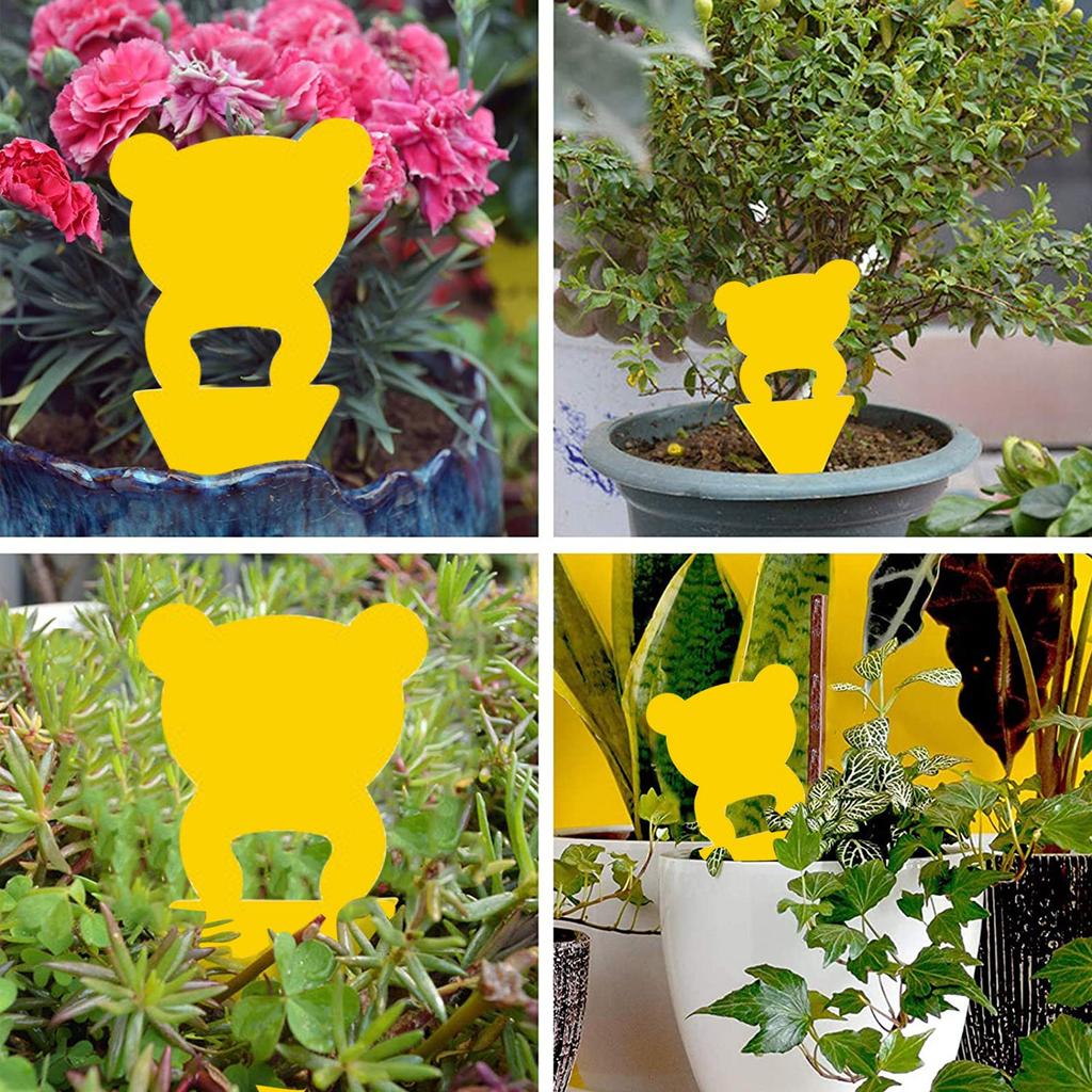 Traps Sticky Board Dual-Sided Sticky Traps Flying Plant Insect Catcher