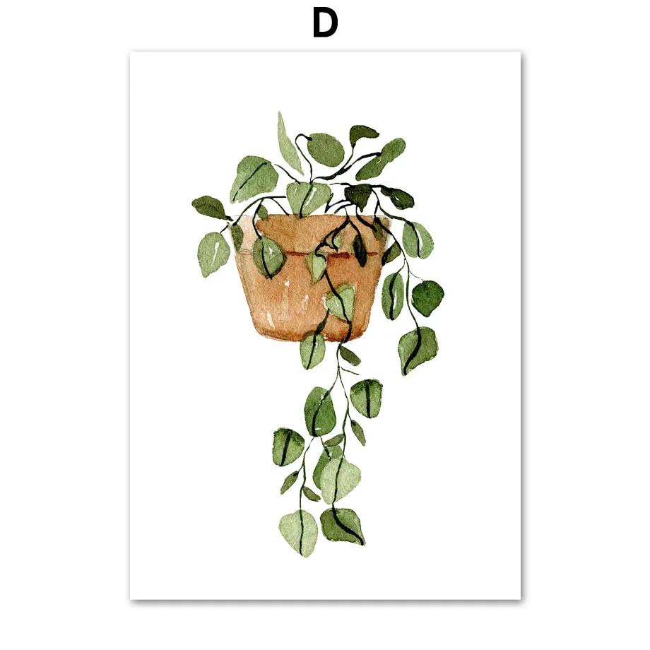 Green Plants Wall Art Canvas Painting Cactus Tiger Pilan Monstera Posters And Prints Wall Pictures For Living Room Decor