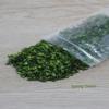 New DIY Micro Landscape Leaves Model Wooden High-fidelity Grass Tufts Accessories Scenery Model Teenager