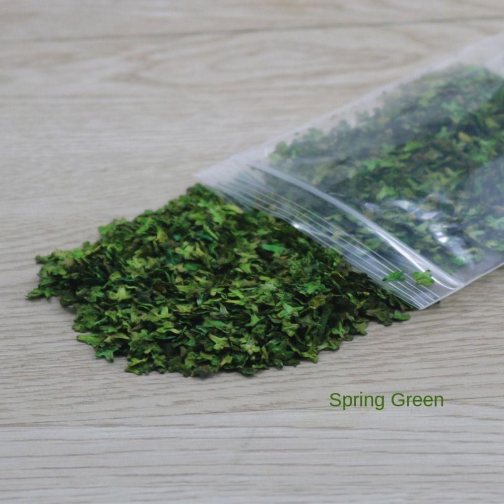 New DIY Micro Landscape Leaves Model Wooden High-fidelity Grass Tufts Accessories Scenery Model Teenager