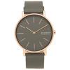 Женские часы Skagen, SKW2794, Угольный [Параллельный импорт]