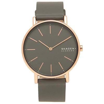Женские часы Skagen, SKW2794, Угольный [Параллельный импорт]