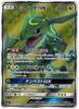 Карта покемонов Rayquaza GX SR Game/PK-SM7-101