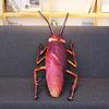 Soft Realistic Cockroach Plush Pillow For Gag Gifts Filled With Pp Cotton
