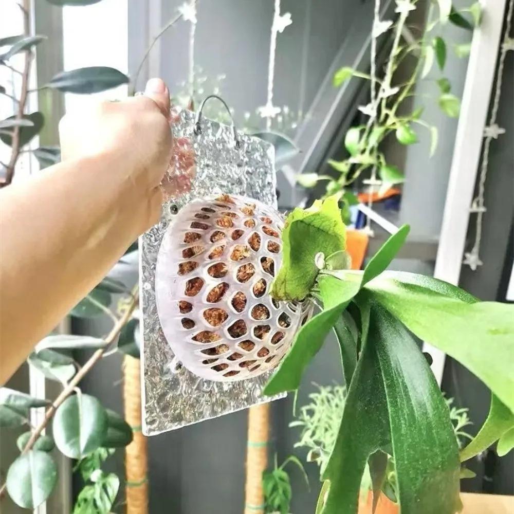 Transparent Plants Soil Protector Cover Reusable Plastic Planting Cover for Flower Lovers