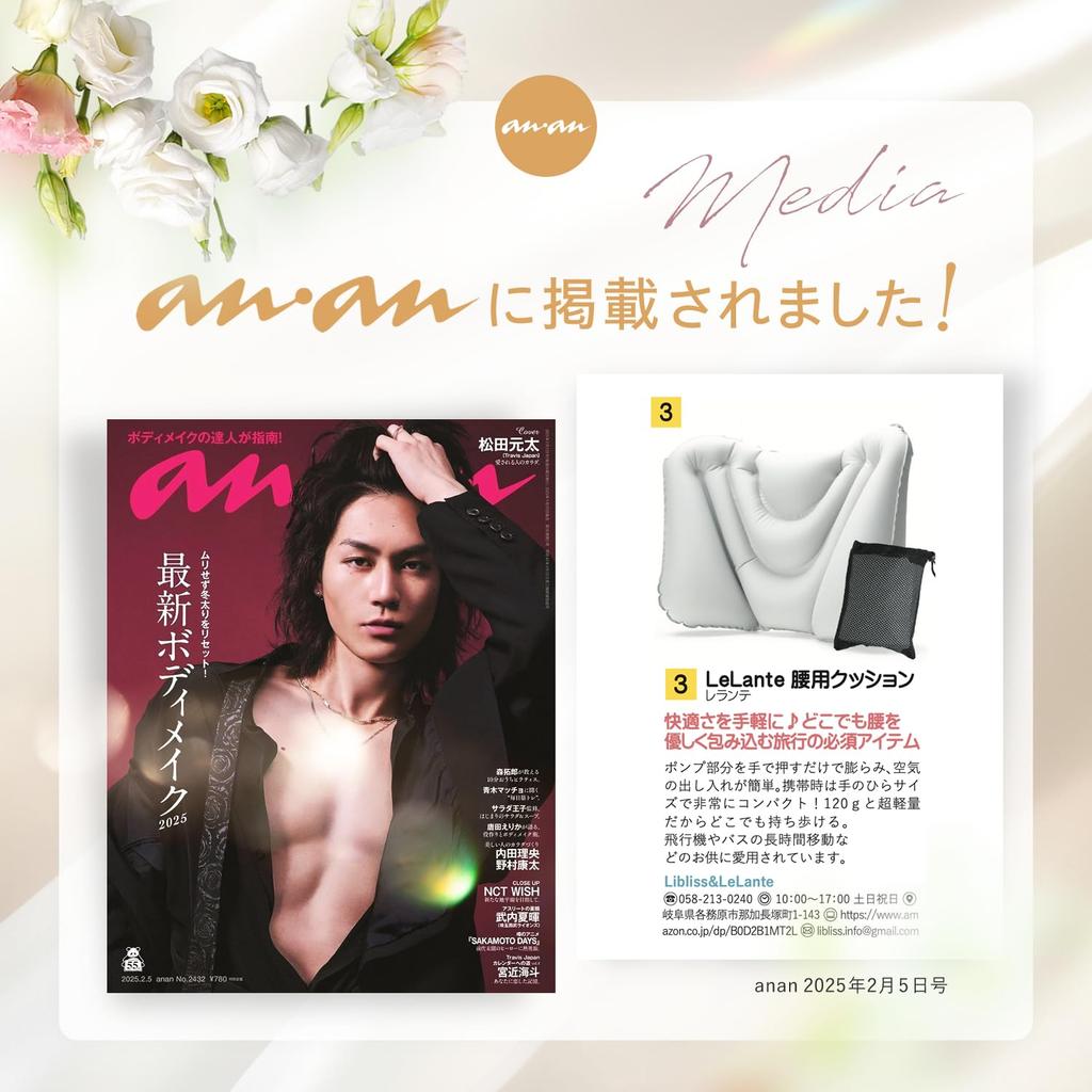 LeLante Back Pain Relief Lumbar Ideal for International Night Shinkansen and Cars Cushion, Pillow, Airplanes, Travel, Buses, Trains, (Light Gray)