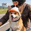 Fashionable Puppy Headwear Adjustable Mini Helmet for Small And Medium Dogs, Lightweight Protective Pet Dog Riding Accessories Safety Hat, Headgear