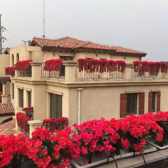 Yousheng Artificial Hanging Violets Faux Violets with Long Vines Realistic Fake Flowers for Home Wall Window Box Wedding Outdoor Garden Arch