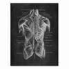 Human Anatomy Artwork Medical Clinic Wall Picture Skeleton Organ Muscle System Vintage Canvas Print Body Education Poster