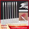 Disposable Multifunctional Crystal Lip Brushes (50 Pack)