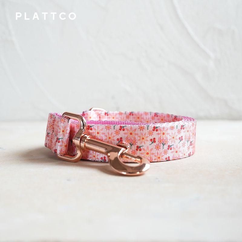 PLATTCO Мягкий и удобный набор ошейников для собак с металлической пряжкой (3-х предметный, PDC301)