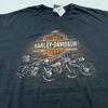 Винтажная футболка HARLEY DAVIDSON MOTORCYCLE ПАТАСКАЛА ОГАЙО XL байкерская