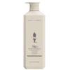 Шампунь Adolph Camellia Repair & Revitalize