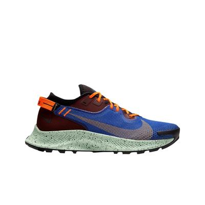 Pegasus Trail 2 Gore-tex Мистические финики Синий