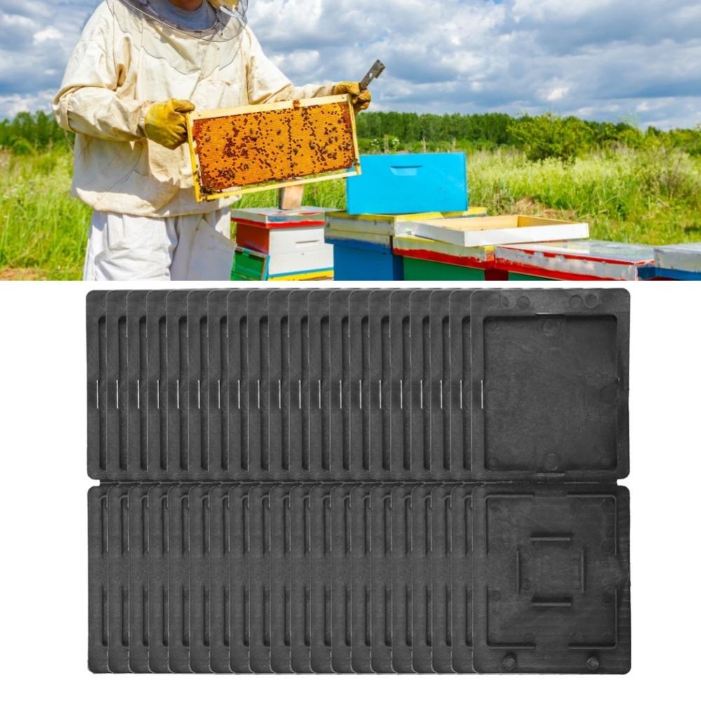 20pcs Black Broodlings Trap Plastic Beehive Beetle Trap Easy Beetle Catch Box Beehive Use