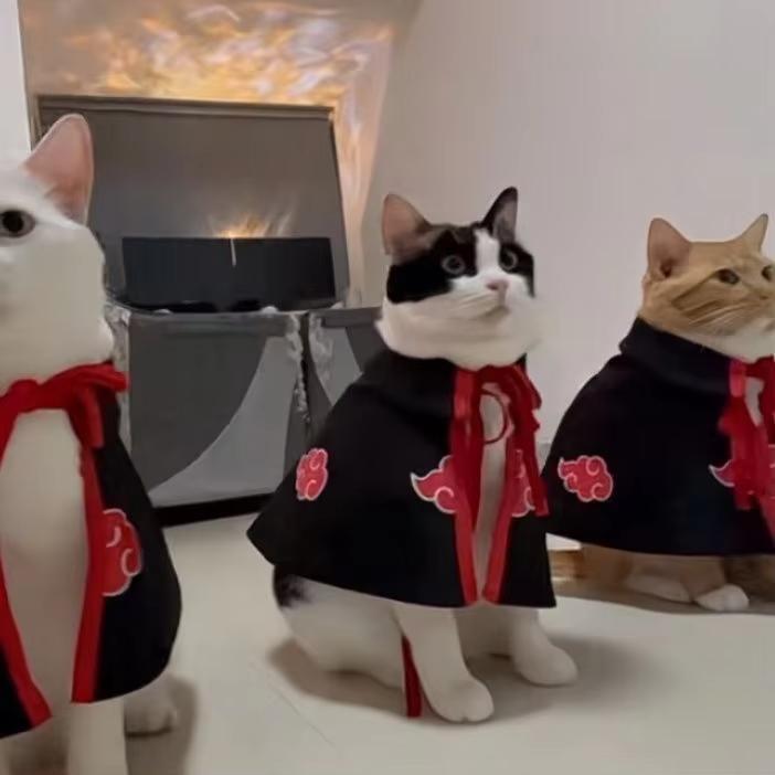 Cat Clothes Akatsuki Organization Cloak Dog Cape Small Dog Cos Ninja Dress Pet Costume Party Decoration Photo Props