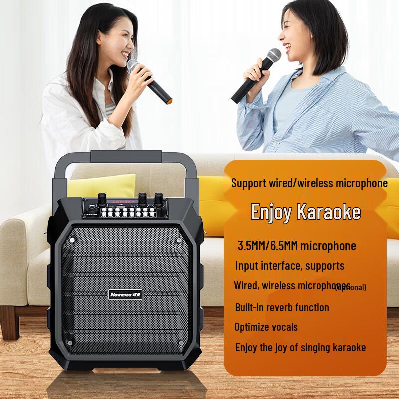 Newmine K99 Wireless Bluetooth Karaoke Speaker