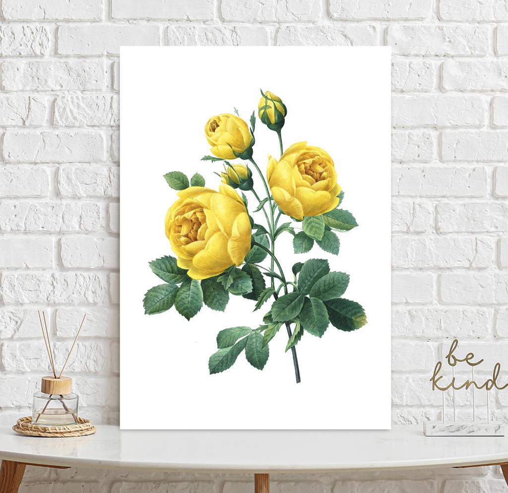 Постер винтажная желтая роза