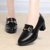 Spring New Comfort Square Heel Metal Chain Women Soft Leather Shoes Fashion Slip On Chunky Heel Casual Mary Jane Shoes