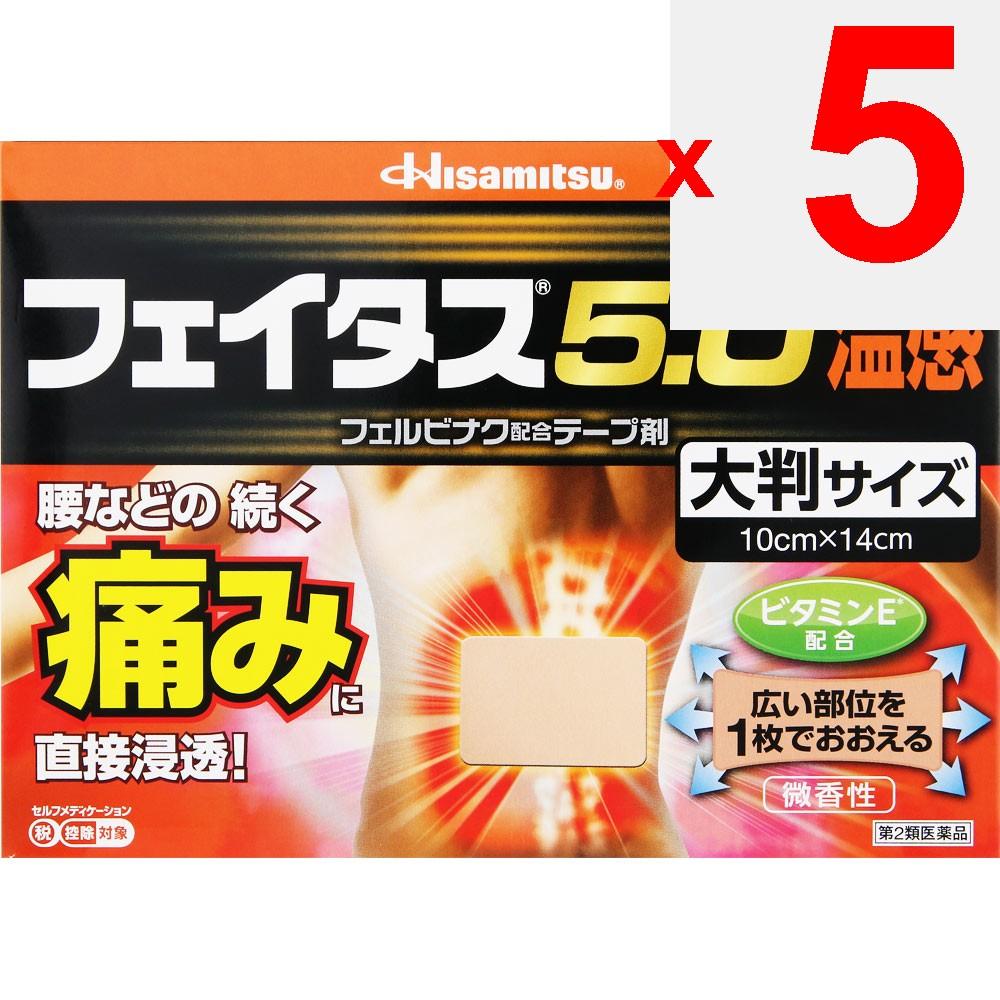 Hisamitsu Pharmaceutical Fitas 5.0 Warm Sensation Large Size 10 Sheets Plasta (Warming) Paste Indications: Joint Pain, Muscle Pain, Lower Back Pain, T