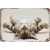 Cats Metal Tin Signs Being Normal Is Boring Wall Decoration Plaque Vintage Poster Iron Painting for Home Cafe Garden Club Bar