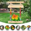 Bird Perch Swing Molar Stand for Parrots Conure Supplies Budgies Grinding Scratchers for Small Medium Parrots Toy
