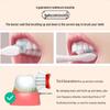 Kukezhe Adult Sonic Electric Toothbrush with 6 Modes CN plug (adapter included)