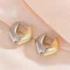 New Trendy, Unique, Niche Design Earrings for Women with a Cold European and American Style, Geometric Metal Earrings