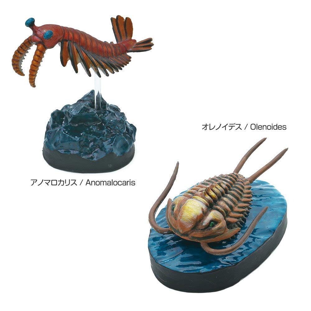 COLORATA 3D-фигурка существ палеозойской эры, книга с картинками, 6 видов рыб, инструкция и подставка, реалистичная игрушка в коробке, обучающая игрушка, подарок