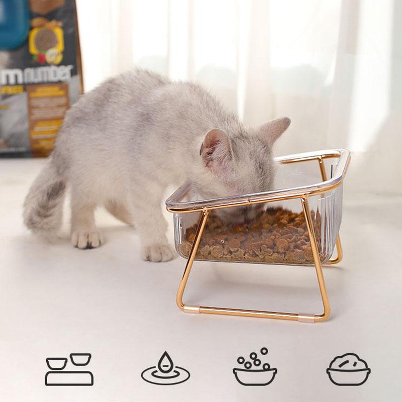 Приподнятая миска для воды для корма для кошек, прозрачная наклонная горловина, приподнятые миски для домашних животных для кошек и собак