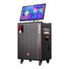 Malone Умная Портативная Bluetooth KTV Акустическая Система (Китайская версия)