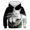 Autumn 3D Cat Pattern Printed Top Fashionable Casual Long Sleeved Children's Boy Hoodies