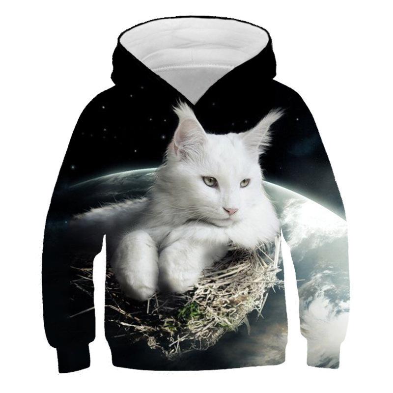 Autumn 3D Cat Pattern Printed Top Fashionable Casual Long Sleeved Children's Boy Hoodies