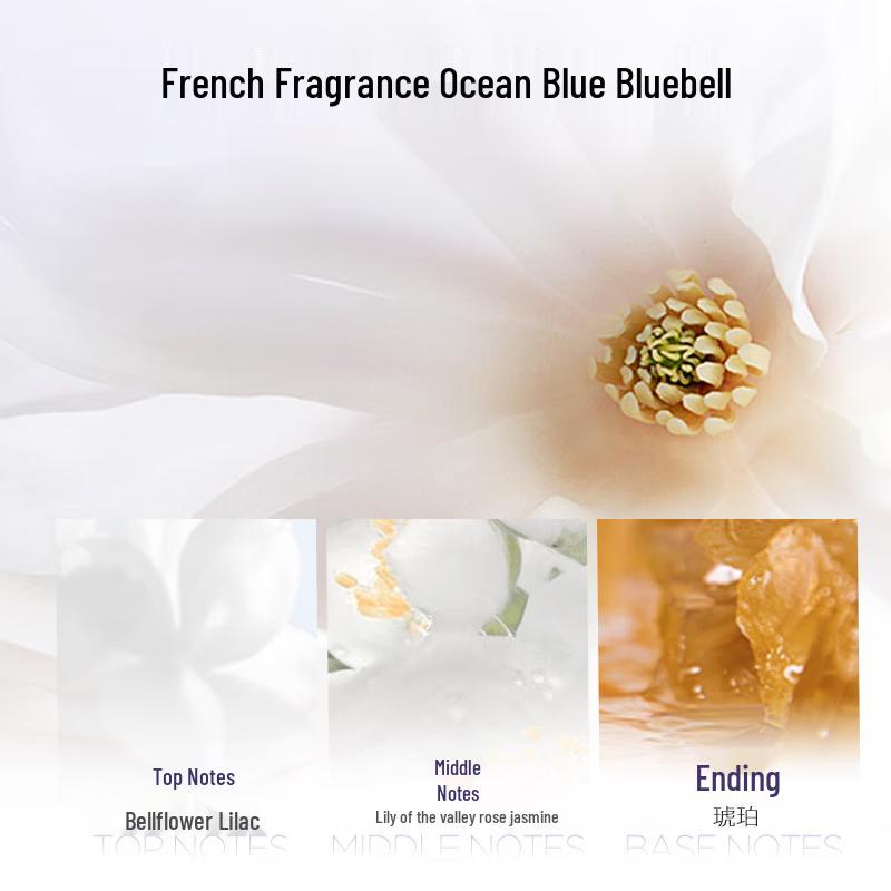 L'Oréal Scalp Purifying Oil Control Shampoo