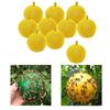 Yellow Green Fly Trap Ball Glueing Fly Catcher Sticky New Fly Sticky Traps  Outdoor