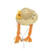 Wig Sunflower Flower Summer Small Hat Pet Hat