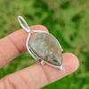 Thanks Giving Day Deal Pear Natural Fossil Coral Bezel Unique Pendant 925 Silver