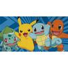 Pokemon Catch Towel