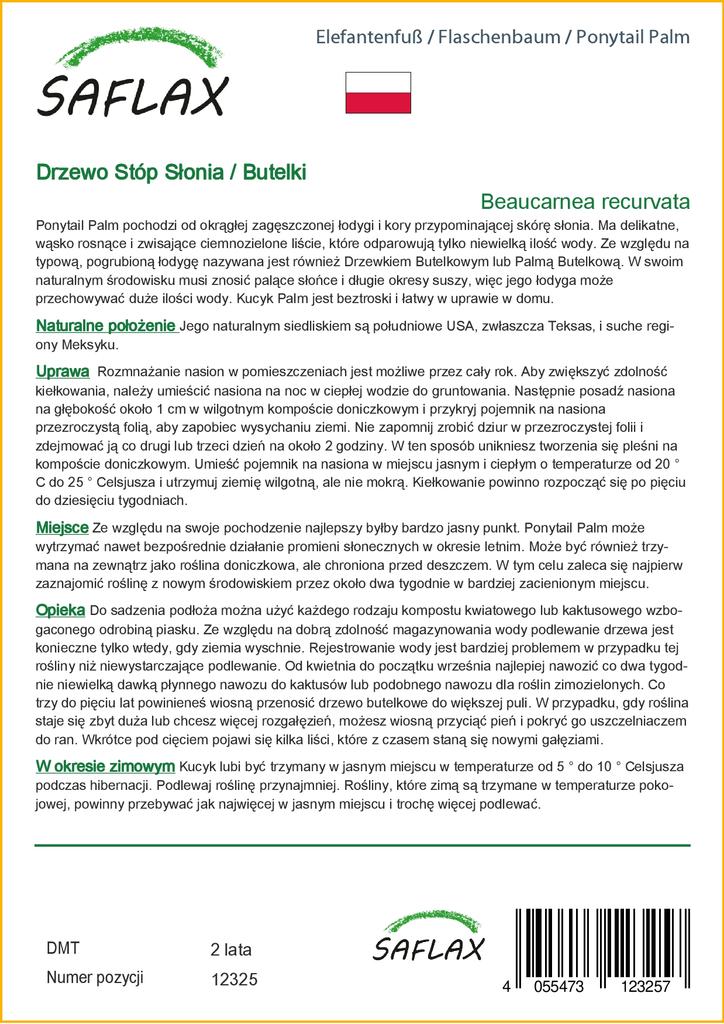 SAFLAX Ponytail Palm - 10 семян - Beaucarnea recurvata.