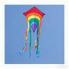 CIM Rainbow Eddy Children's Kite Single Line Flight Kite for Children from 3 Years 65 X 72 Cm Includes 80 M Kite Cord and 8 X 105 Cm Strip Tails