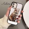 Чехол для телефона с рисунком лисы для iPhone 17 Air 15 16 16e 11 12 13 14 Pro Max Plus Чехол coque Fundas Оболочка