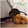Плюшевая игрушка GUND Matzie Dog, размер M, артикул 4030272