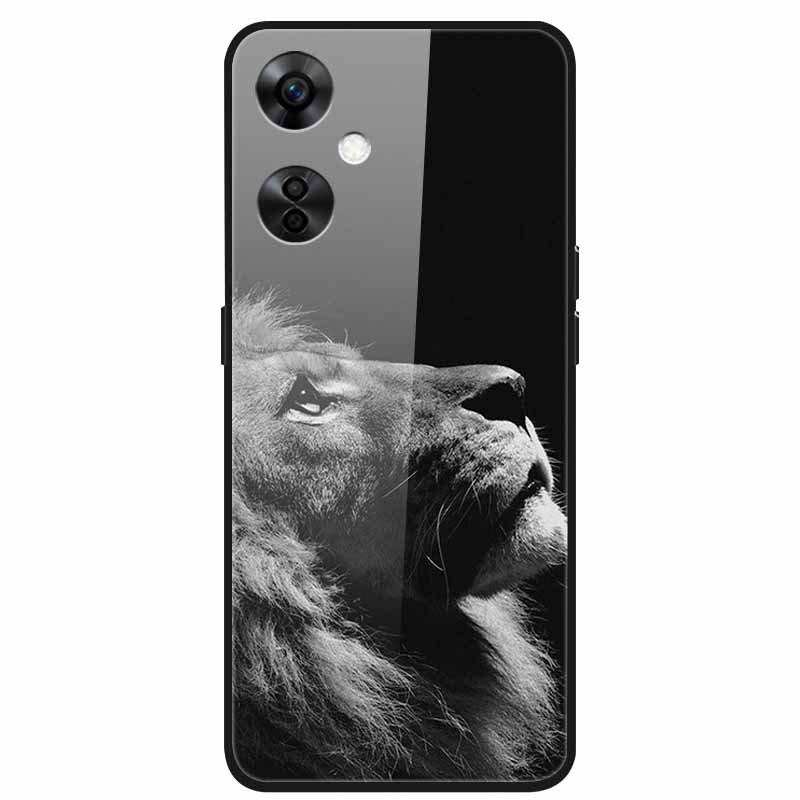 Для One Plus Nord CE 3 Lite 5G Чехол N30 Закаленное Стекло Жесткая Задняя Крышка для Oneplus Nord CE3 Lite N 30 Чехлы Бампер 3lite CE3Lite