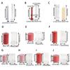 Supplies Party Clay Tools Clear Plastic Cylindrical Candle Mould Cake Decoration Church Soap Molds