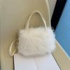 Autumn and Winter New Furry Bag Fur Crossbody Shoulder Strap Plush Bag Versatile Large Capacity Handbag for Women