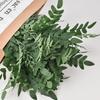 Artificial Decorative Branch Flowers Decoration Japanese Pagoda Tree Ruscus 55 cm