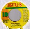 7-дюймовая пластинка ANTHONY CRUZ / NIKI BERCH - What We Like / Good By My Love НЕТ Digital-B 2004 Ямайка Регги, Ска и Даб Б/у