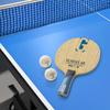 VICTAS Gladius AR 310504 Table Tennis Racket Offensive Shakehand Flare FL 5-Ply Wood + 2 AR Carbon Blade Speed Drive